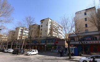 石家庄桃园最新爆料,揭秘神秘爆料背后的真相