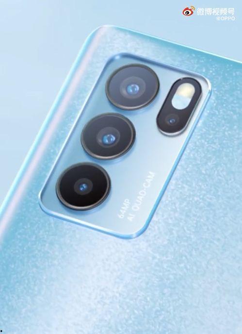 养家最新爆料视频下载,深度解析家庭生活幕后故事